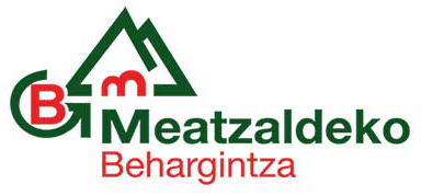 MEATZALDEKO BEHARGINTZA